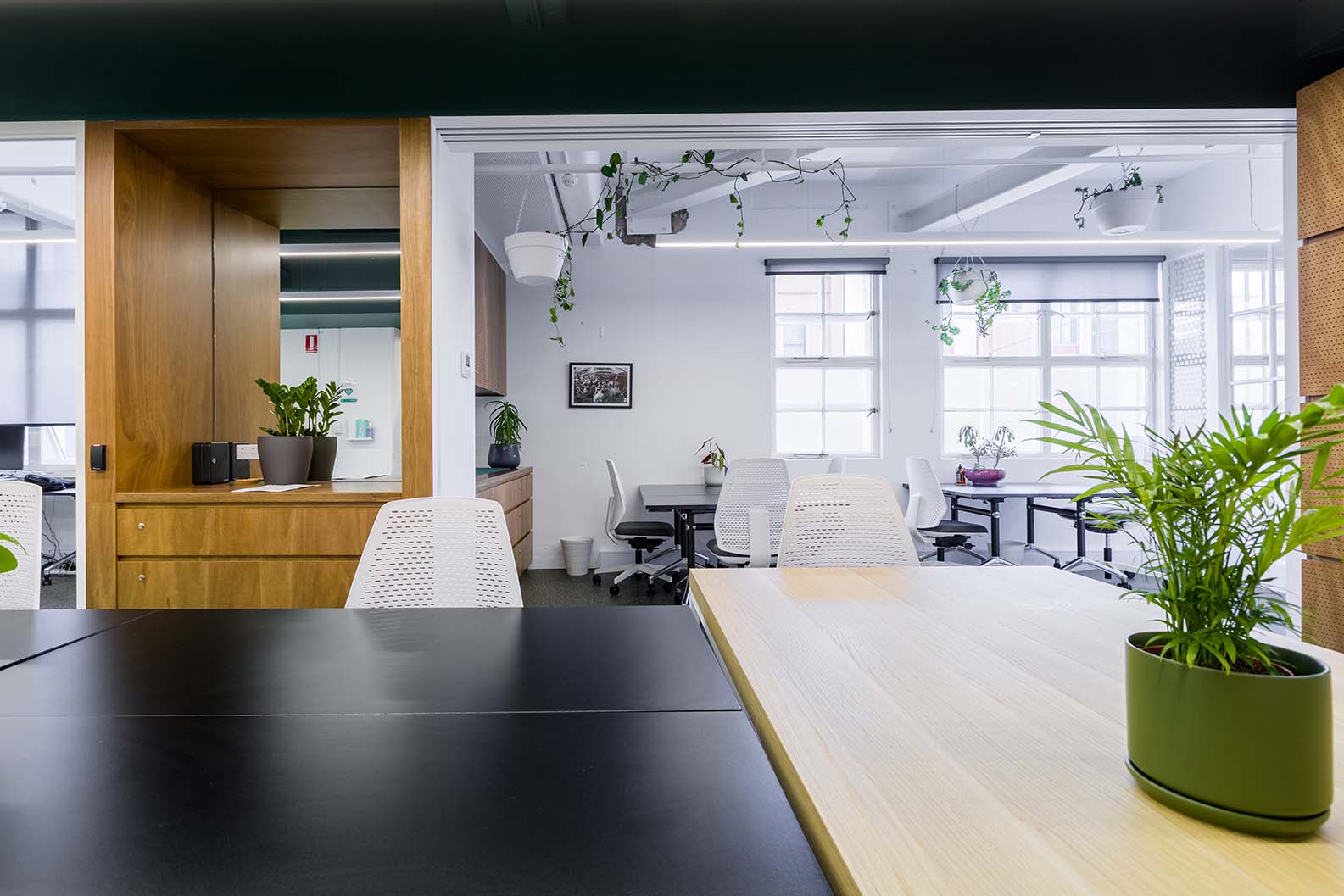 Bright co-work space with black desks, wooden desks, white chairs and plants on tables.