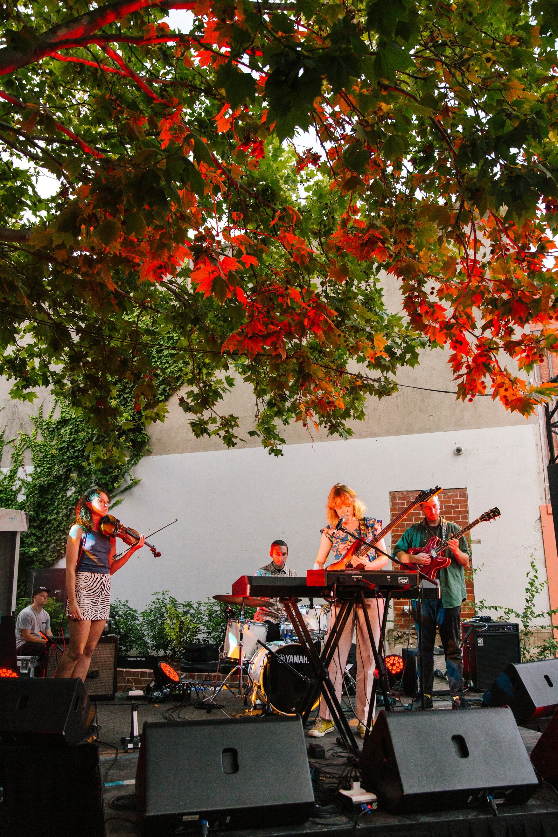 Four musicians performing on an outdoor stage, sheltered by green and orange trees. In front of the musicians are speakers and equipment.